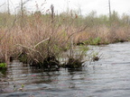 IMG 4581